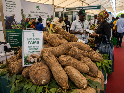 Imo State gallery photo 3